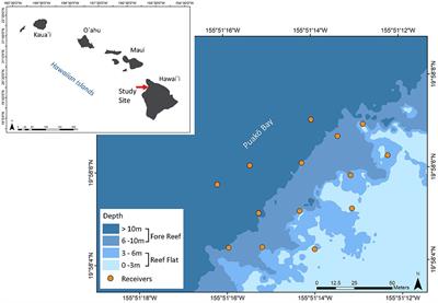 Habitat use and movements of parrotfishes in a Hawaiian coral reef seascape